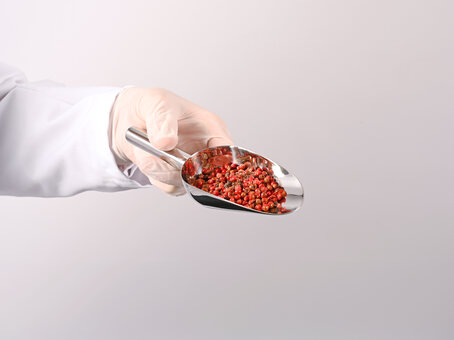 Stainless steel food scoop FoodScoop