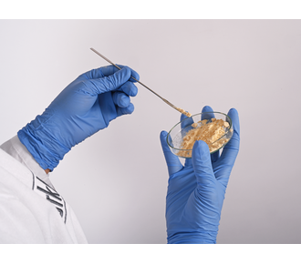 Micro powder spatula, angular/semi-cup-shaped, made of stainless steel