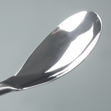 Sample spoon stainless steel