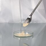 Sample spoon stainless steel