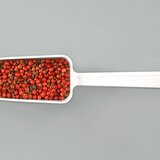 LaboPlast® scoop, disposable