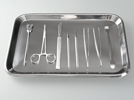 Stainless steel tray
