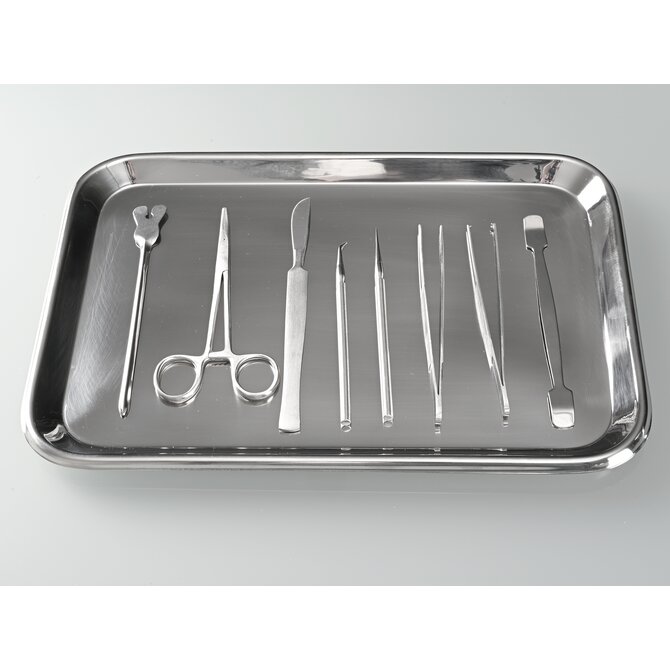 Stainless steel tray